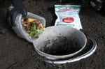 土中法・容器を用いた生ゴミ堆肥 #4